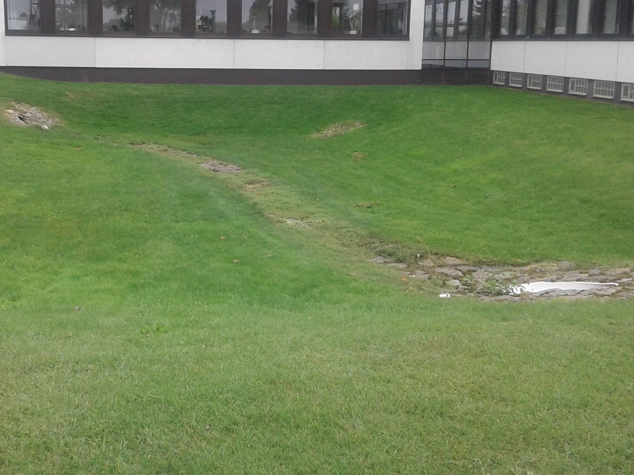 Begruente Versickerungsmulde